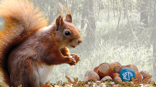 Bank EKI Seit 1852 Ihre Bank In Interlaken Umgebung